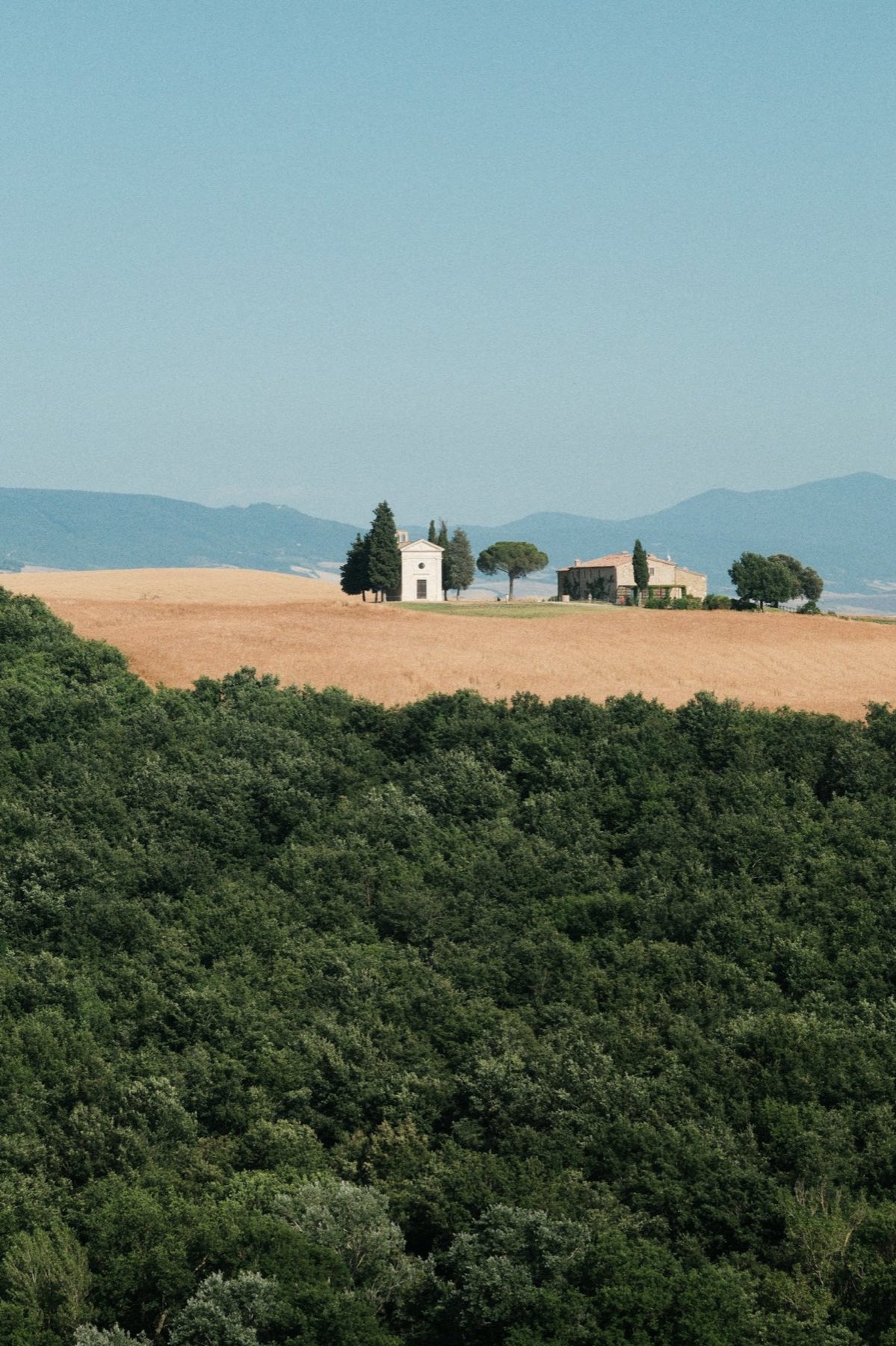 Green rolling hills and cypress trees in Tuscany